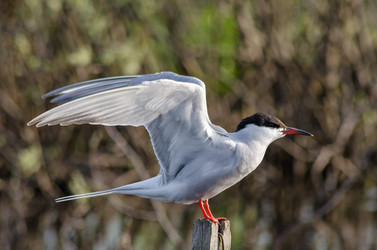 Similar image 11432907