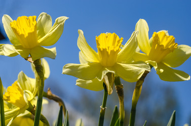 Similar image 11432908