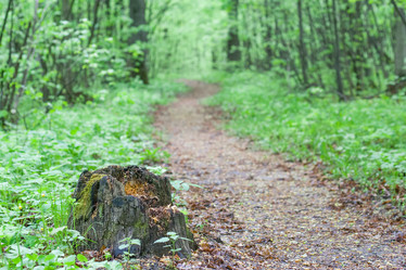 Similar image 11432937