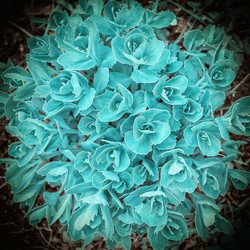 Similar image 11432909