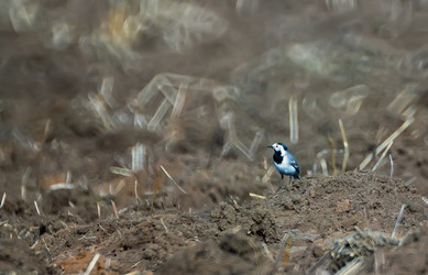 Similar image 11432911