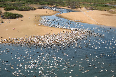 Similar image 11435875