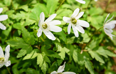 Similar image 11460967