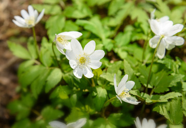 Similar image 11460968