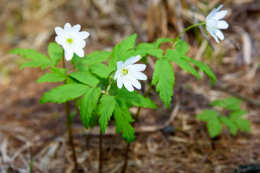 Similar image 11460970