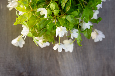 Similar image 11460971