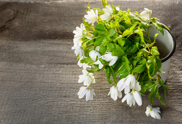 Similar image 11460972