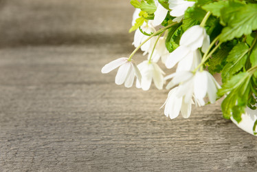 Similar image 11460973