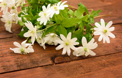 Similar image 11460974