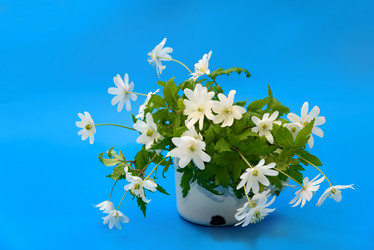 Similar image 11460976