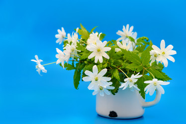 Similar image 11460978