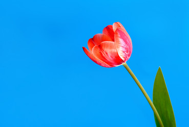 Similar image 11460877