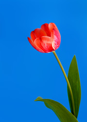 Similar image 11460878