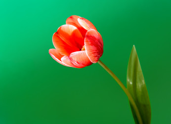 Similar image 11460880