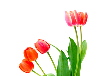 Similar image 11460881