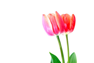 Similar image 11460882