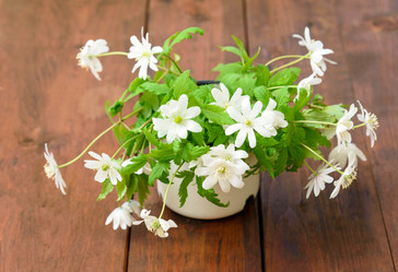 Similar image 11460885