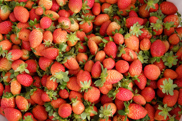 Similar image 11435912