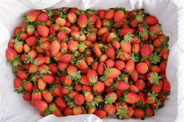 Similar image 11435913