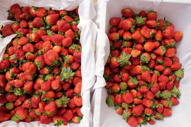 Similar image 11435918