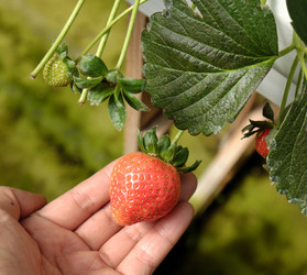 Similar image 11435935