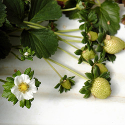 Similar image 11435936