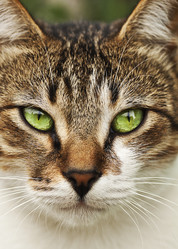 Similar image 11433580