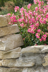 Similar image 11436427