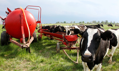 Similar image 11433565