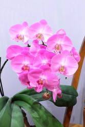 Similar image 11436430