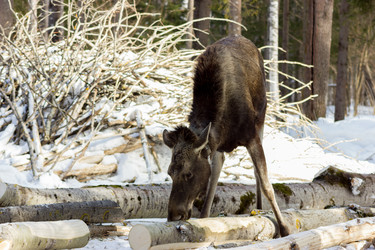 Similar image 11435122