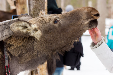 Similar image 11435128