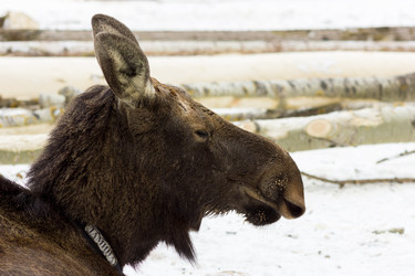 Similar image 11435132