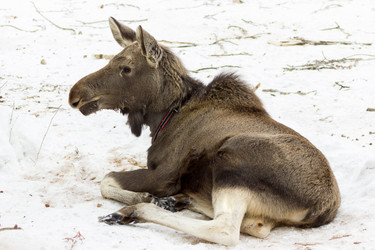 Similar image 11435133