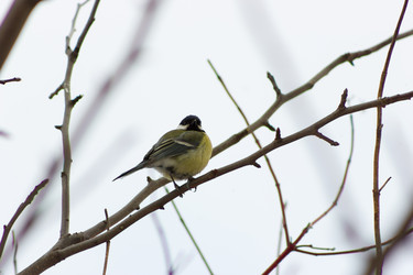 Similar image 11435135