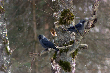 Similar image 11435136