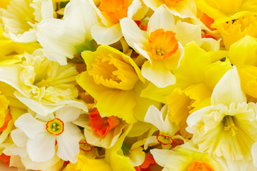 Similar image 11435455