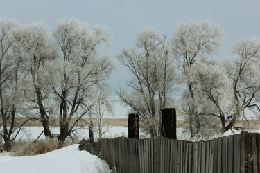 Similar image 11435582