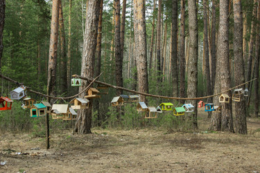 Similar image 11435334