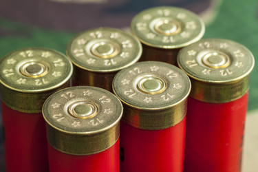 Similar image 11435813