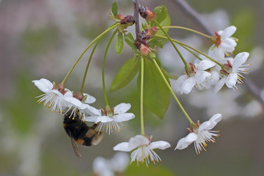 Similar image 11436434