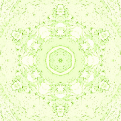 Similar image 11444328