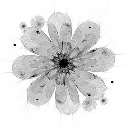 Similar image 11444401