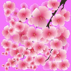 Similar image 11435720