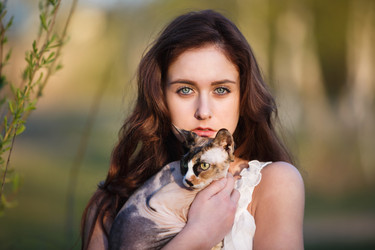 Similar image 11435640