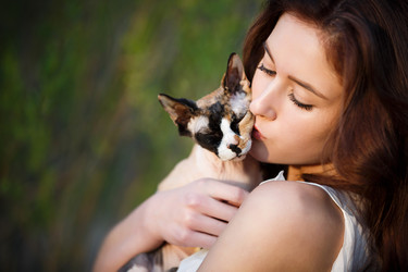 Similar image 11435644