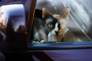 Similar image 11435677