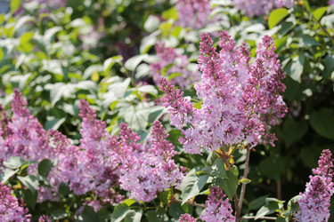 Similar image 11435523