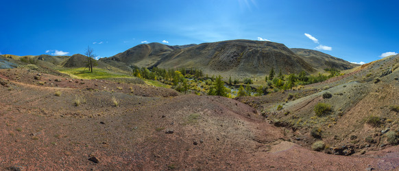 Similar image 11435558