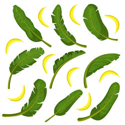 Similar image 11445248